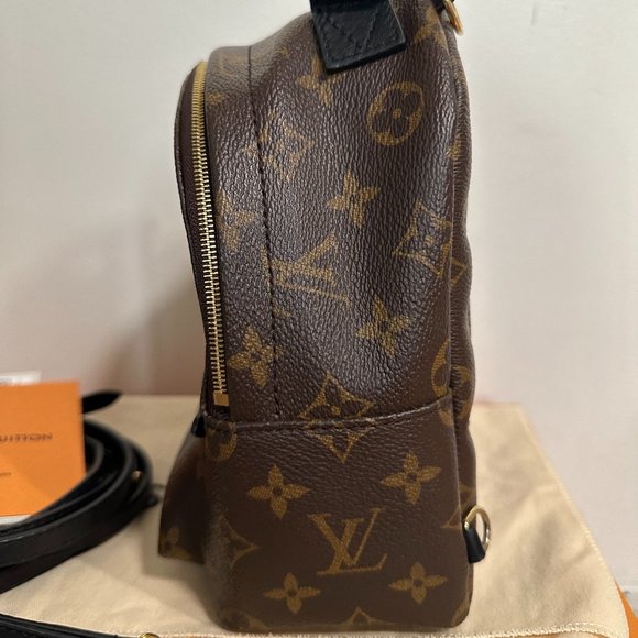 Louis Vuitton Palm Springs Mini Backpack main image 5